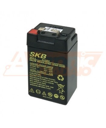 BATTERIA RICARICABILE AL...